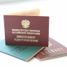 Ветеранам боевых действий предложили предоставить дополнительные дни отпуска