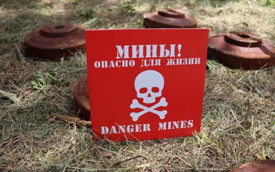 В Курской области сапёры очистили от мин свыше 105 тысяч гектаров