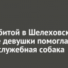 Тело убитой в Шелеховском районе девушки помогла найти служебная собака