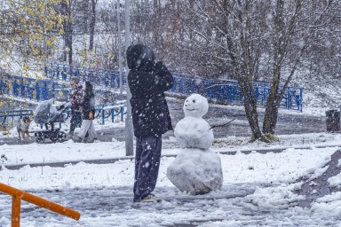 Синоптик Цыганков: Полноценной зимы москвичам в ближайшее время ждать не стоит