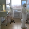 Роспотребнадзор сообщил о риске завоза в Россию лихорадки чикунгунья