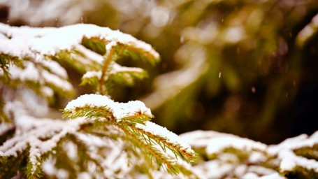Какую погоду ждать тулякам на Старый Новый год