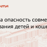 Названа опасность совместного проживания детей и кошек
