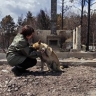 НФ помогает в борьбе с лесными пожарами в Забайкалье и Иркутской области
