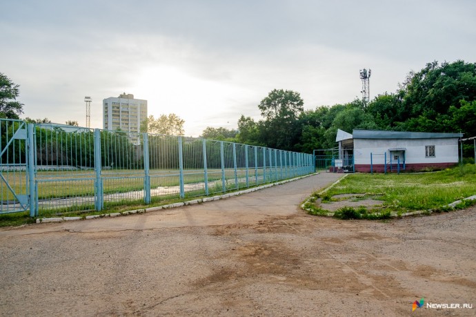 У стадиона «Локомотив» убрали аварийные деревья и дикую поросль