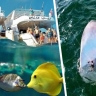 Российский турист чуть не стал жертвой «морской бритвы» в Хургаде