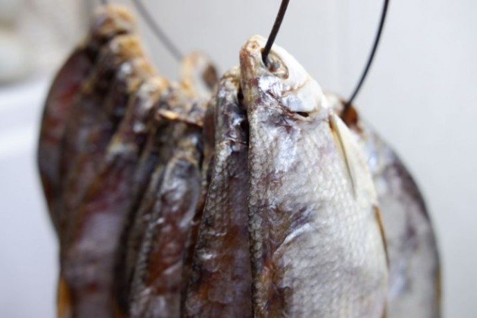 Малоизвестная и вкусная рыба массово зашла в Волгу из Каспия, но можно ли ее ловить