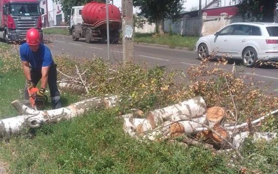 Вчера циклон накрыл Курск: упавшие деревья, повреждённые крыши и перебои с электроснабжением