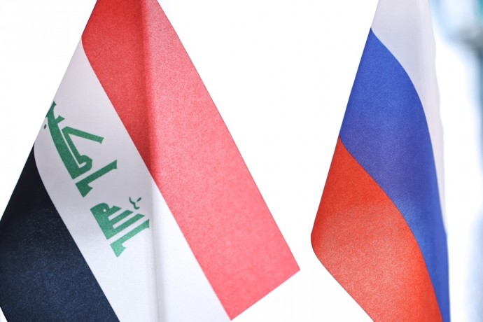 В Минпросвещения России обсудили развитие сотрудничества с Республикой Ирак