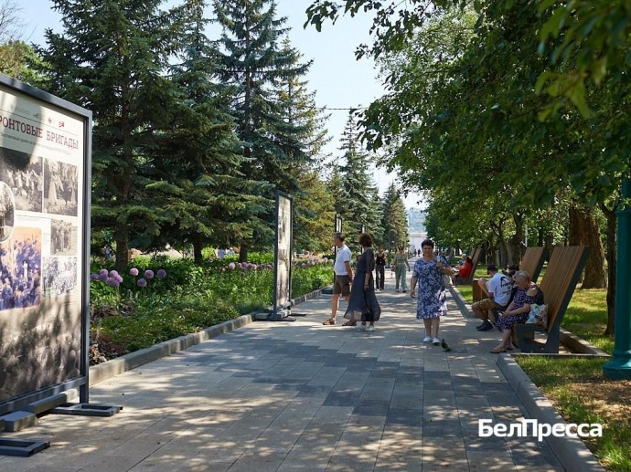 С помощью каких приёмов белгородцев заставляют поверить в фейки? (видео)