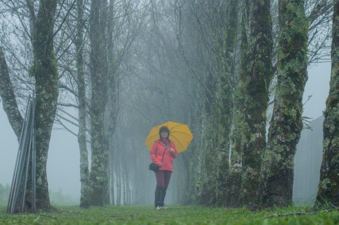 Германия — Флирт был коротким. Теперь — холодный расчет Германия — Флирт был коротким. Теперь — холодный расчет