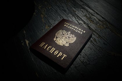 Следователи проверят выдачу гражданства родителям осквернивших георгиевскую ленту детей