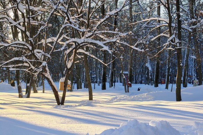 Какая погода ожидает пензенцев 12 февраля?