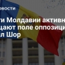 Власти Молдавии активно зачищают поле оппозиции, заявил Шор