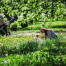 Москвичка назвала подходящие для поездок с детьми места. Выбор оказался неожиданным