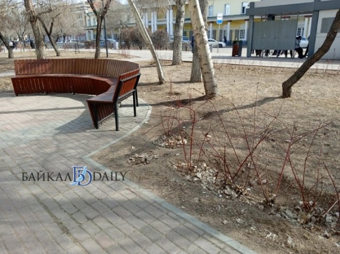 В Улан-Удэ рассказали, какие общественные пространства обработают от клещей