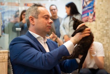 В Театр кошек Куклачева приняли трех котов из зоны СВО
