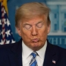 Покушения можно было избежать: Трамп потребовал отклонить иск «собачницы»