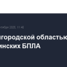 Над Белгородской областью сбиты 29 украинских БПЛА