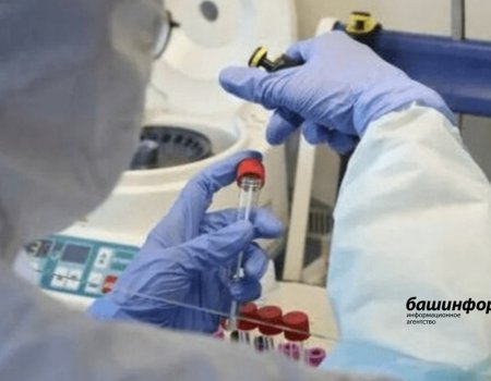 Роспотребнадзор представил тест, способный обнаружить 25 инфекций