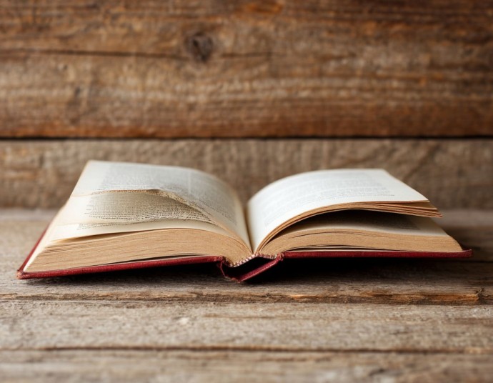 Новая книга биографа раскрыла правду о любовных похождениях младшего брата короля Карла III