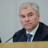 Володин: Правовое поле в части борьбы с незаконной миграцией в России сформировано...