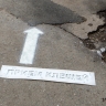 Почти 2 тысячи кировчан пострадали от укусов клещей