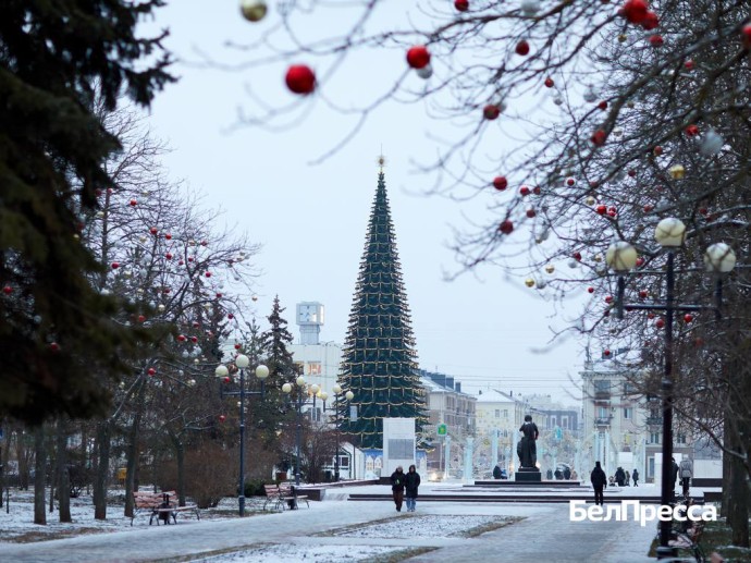 Расходы бюджета Белгородской области в 2026 году вырастут ещё на 3,5 млрд рублей
