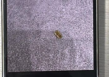 Амурчанин заподозрил, что стал жертвой аферы, сняв квартиру в Благовещенске