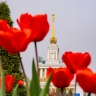 Сергунина: Более 300 видов цветов будет радовать гостей ВДНХ в этом году