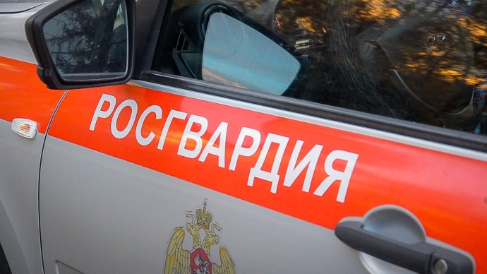 В Пензе на краже дорогого алкоголя попался молодой мужчина В Пензе на краже дорогого алкоголя попался молодой мужчина