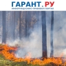 Правительство РФ актуализировало требования по охране лесов от пожаров