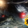 Въехала в упавшее дерево: в ДТП под Рыбинском пострадала пассажирка иномарки