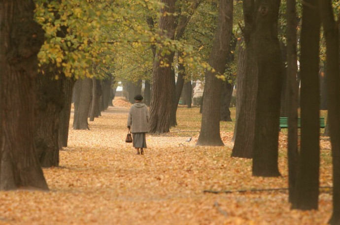 Врач рассказал, чем опасно осеннее обострение Врач рассказал, чем опасно осеннее обострение