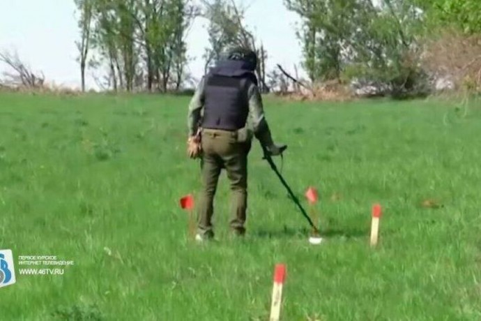 В селе курского приграничья приграничья обнаружили 1213 боеприпасов