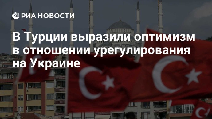 В Турции выразили оптимизм в отношении урегулирования на Украине