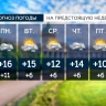 Днем 3 мая в Петербурге ожидается +15: похожая погода продержится до середины недели