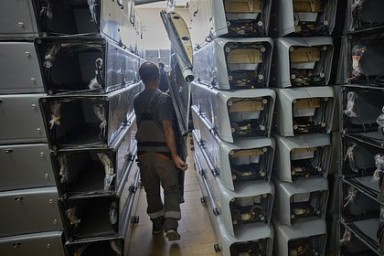 На Украине предрекли развал критических предприятий из-за решения правительства