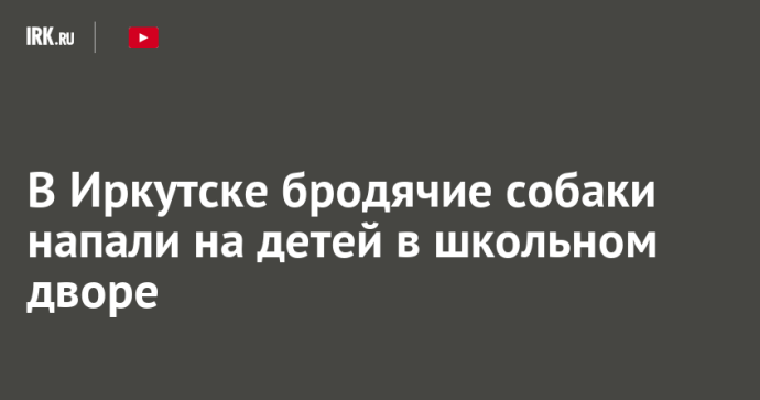 В Иркутске бродячие собаки напали на детей в школьном дворе