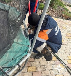 В Уфе спасатели помогли собаке, застрявшей лапой в пружинах батута