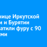 На границе Иркутской области и Бурятии перехватили фуру с 90 коровами