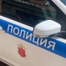 В Мурино неизвестный пугал пенсионеров ножом и мачете...