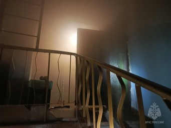 В Башкирии в квартире обнаружили труп женщины