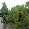 С улиц Кирова убирают рухнувшие во время непогоды деревья