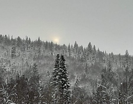 В Россию нагрянет аномально холодная зима