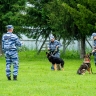 Полицейские собаки показали свои умения и «взяли» «учебного грабителя»