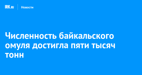 Численность байкальского омуля достигла пяти тысяч тонн