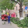 В центре Астрахани из-за обрезки деревьев на 3 дня закроют для автомобилей