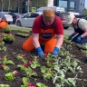 В районе Уфы планируют высадить около 45 тысяч цветов