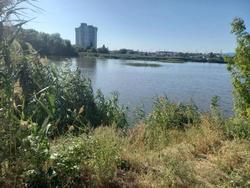 В городском пруду найден женский труп В городском пруду найден женский труп